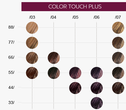 onvoorwaardelijk naar voren gebracht Joseph Banks Color Touch Plus | Wella Professionals